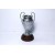 60mm Champions League Cup